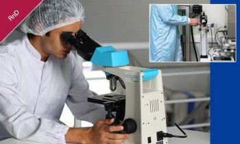 Research & Development